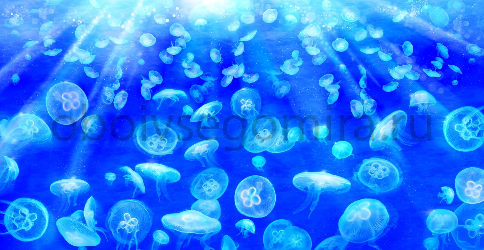 Фрески Пейзажи Подводный мир 7137