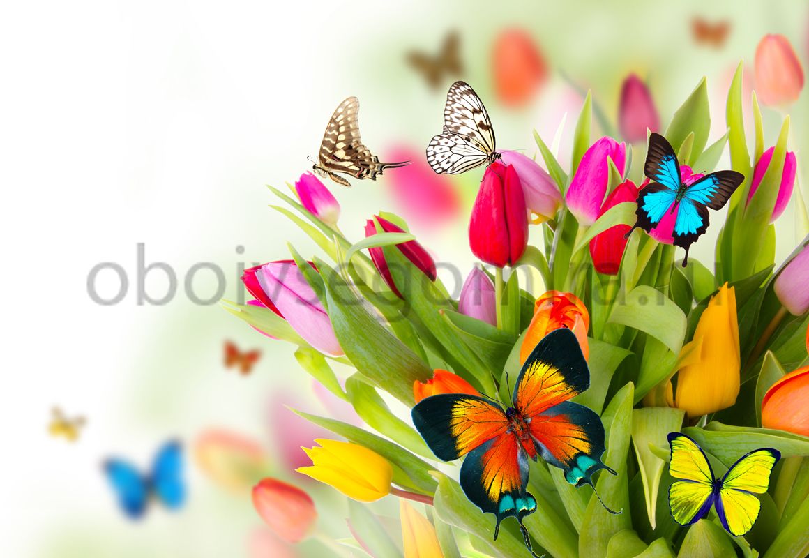 Фрески Цветы Бабочки ID12754