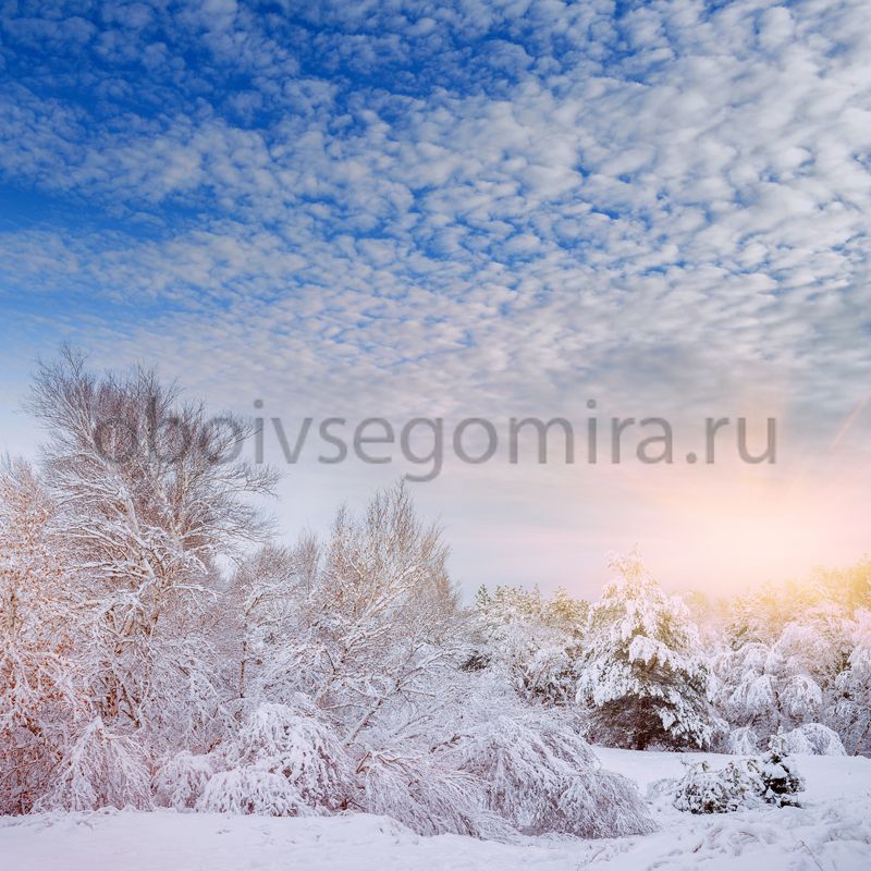 Фрески Пейзажи Зима ID13528