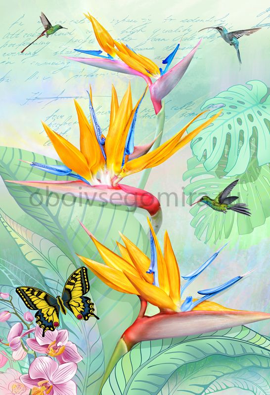 Фрески Цветы Бабочки 7238