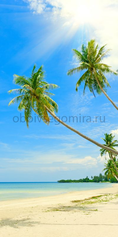 Фрески Пейзажи Пляжи и пальмы ID12885