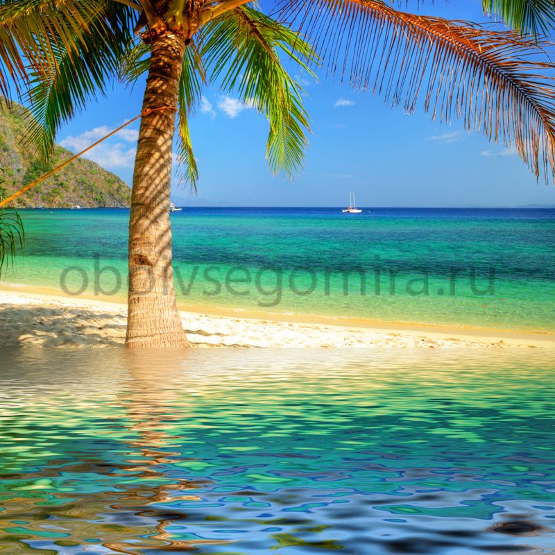 Фрески Пейзажи Пляжи и пальмы ID11016