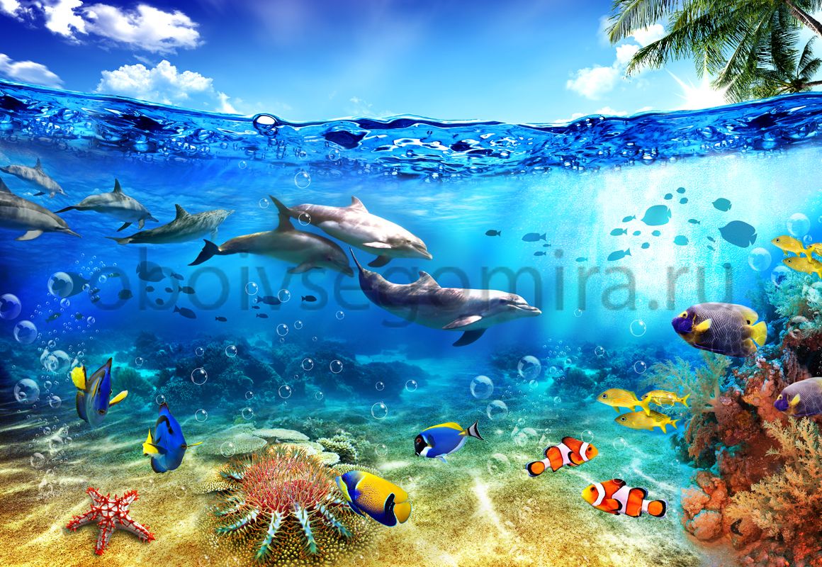 Фрески Пейзажи Подводный мир 6504
