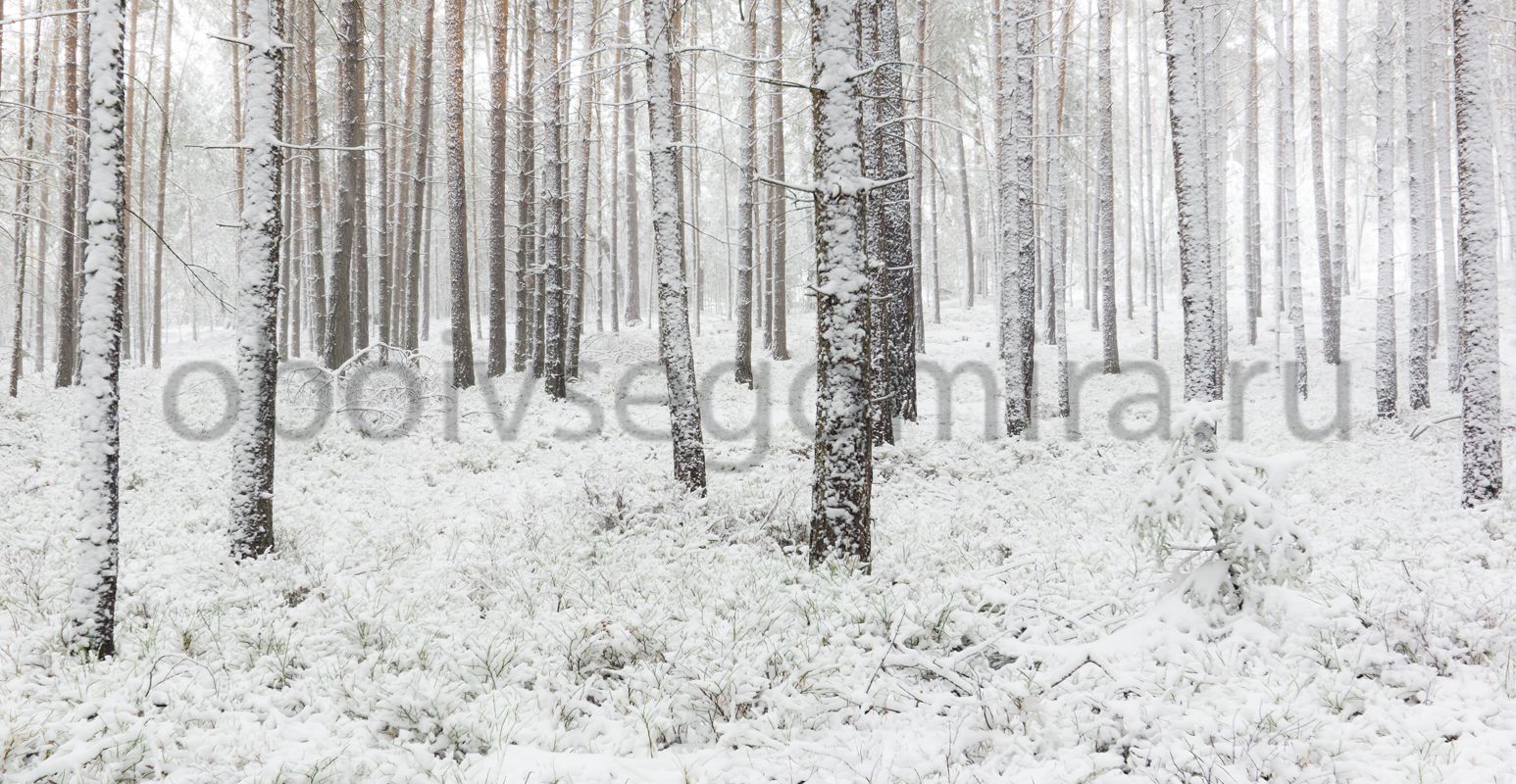 Фрески Пейзажи Зима ID13524