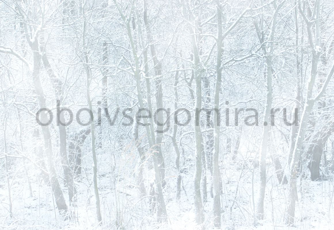 Фрески Пейзажи Зима ID12112