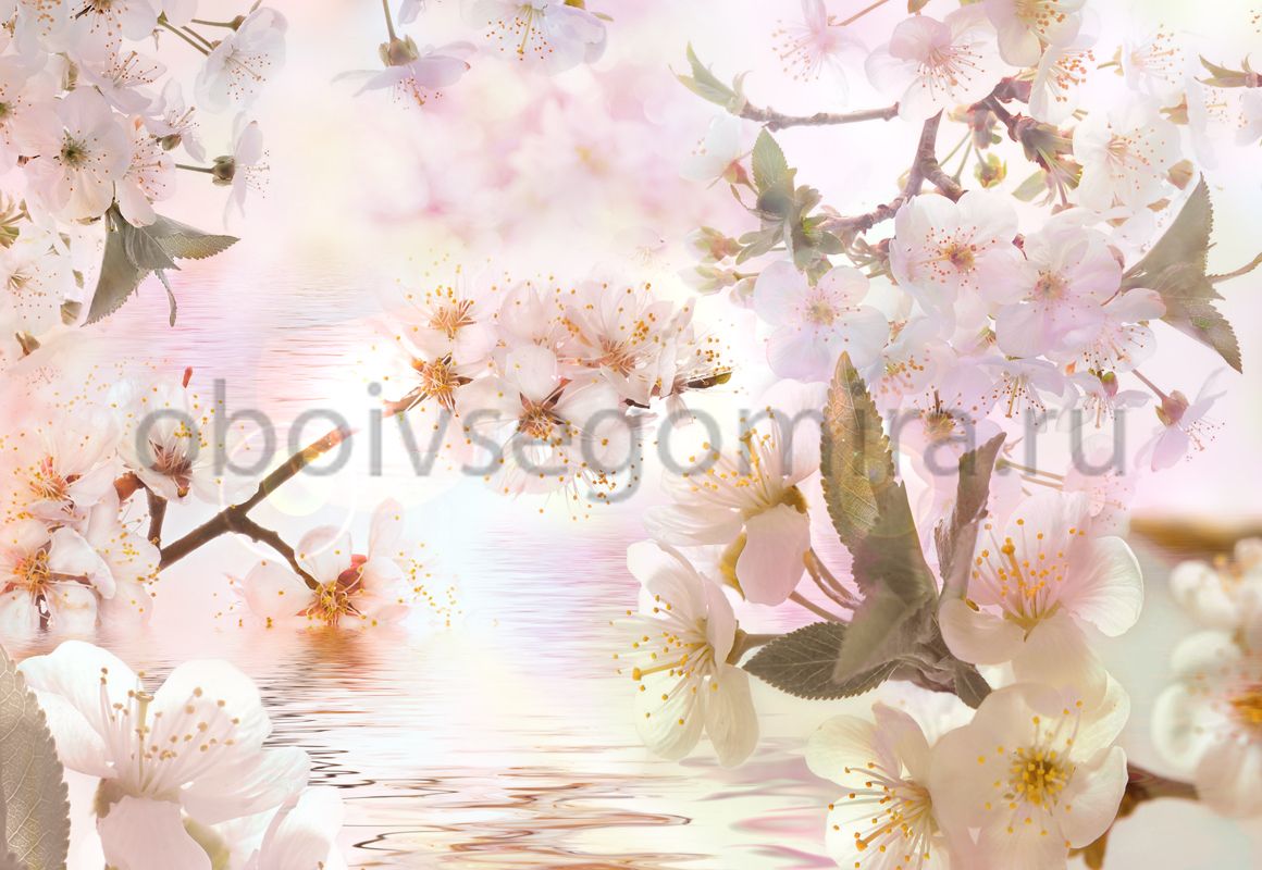 Фрески Цветы Сакура 7124