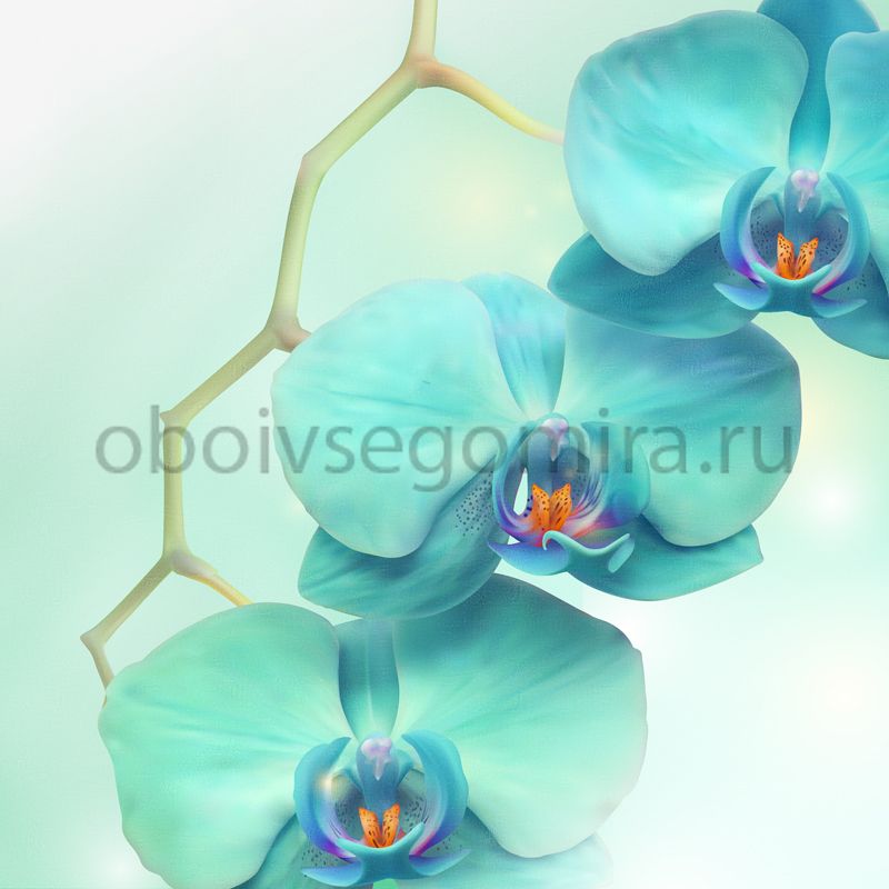 Фрески Цветы Орхидеи 7178