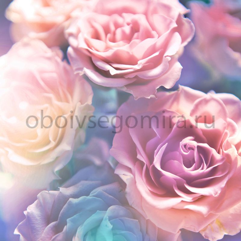 Фрески Цветы Розы 7206