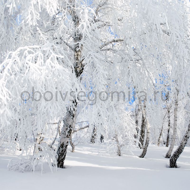 Фрески Пейзажи Зима ID13521