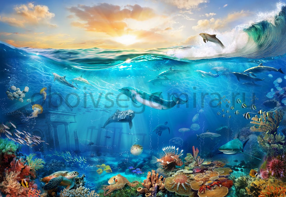 Фрески Пейзажи Подводный мир 6474