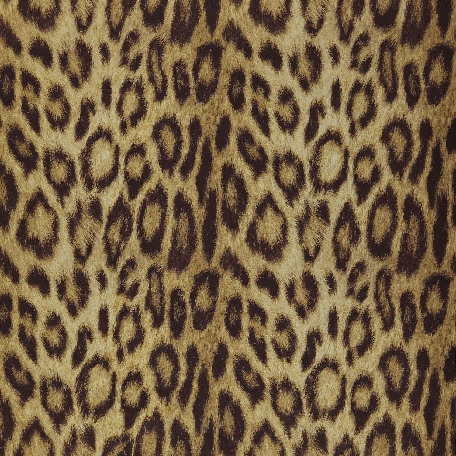 Обои Covers wall coverings Jungle Club 08-Gold