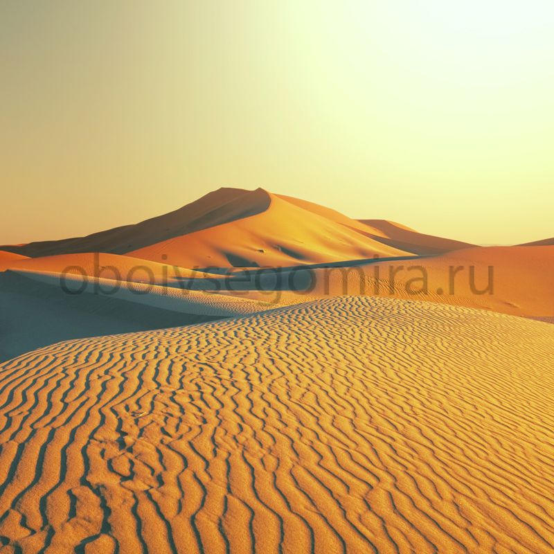 Фрески Пейзажи Пустыня ID13543