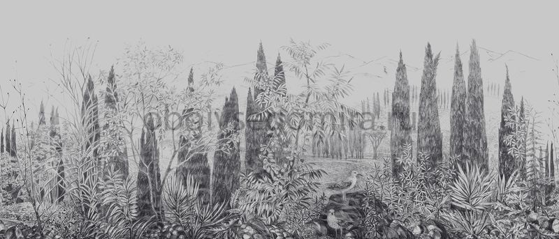Фрески Коллекции Dream Forest DG68-COL4