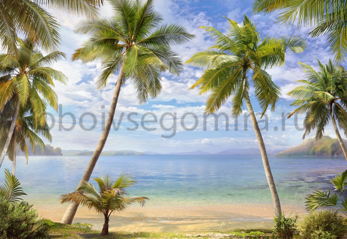 Фрески Пейзажи Пляжи и пальмы 6492