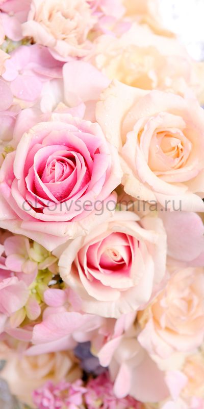 Фрески Цветы Розы ID12735
