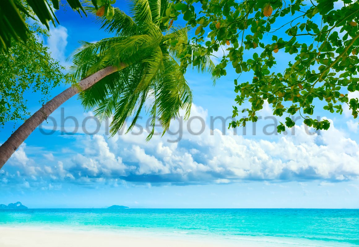 Фрески Пейзажи Пляжи и пальмы 6134