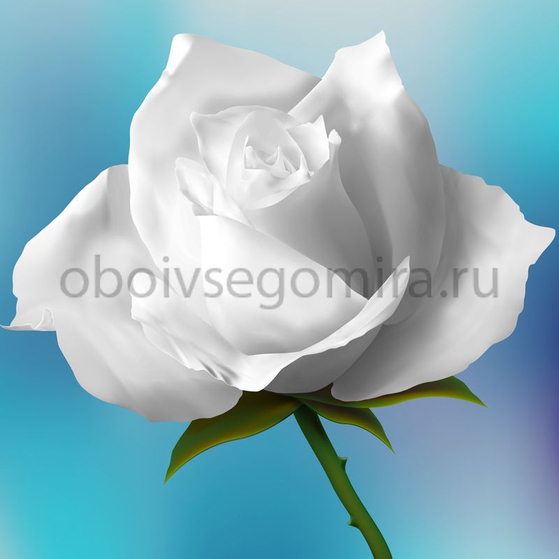 Фрески Цветы Розы 7190