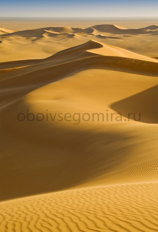 Фрески Пейзажи Пустыня ID13549