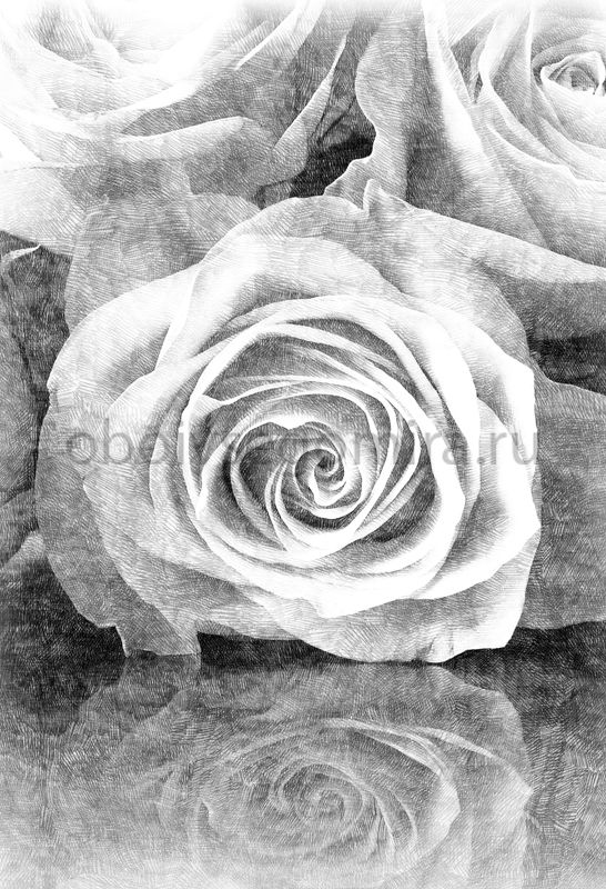 Фрески Цветы Розы SA7165