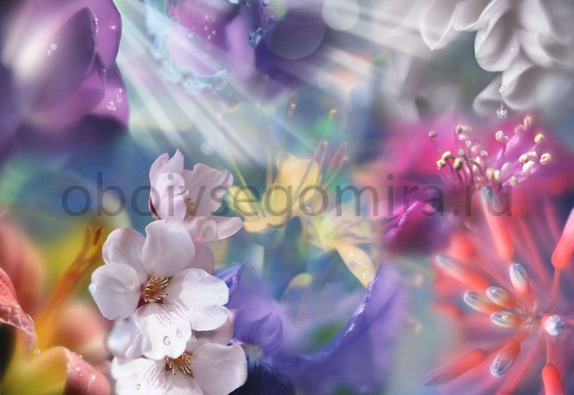 Фрески Цветы Сакура 7062