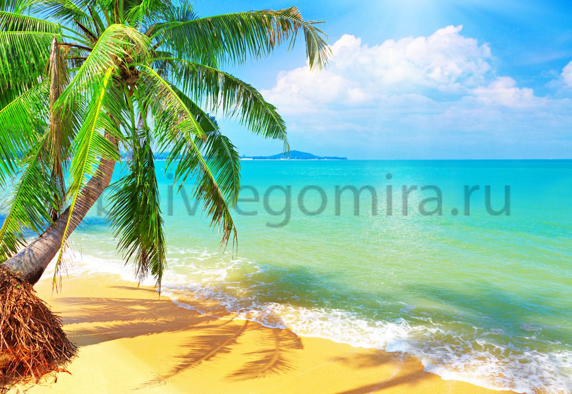Фрески Пейзажи Пляжи и пальмы ID11080
