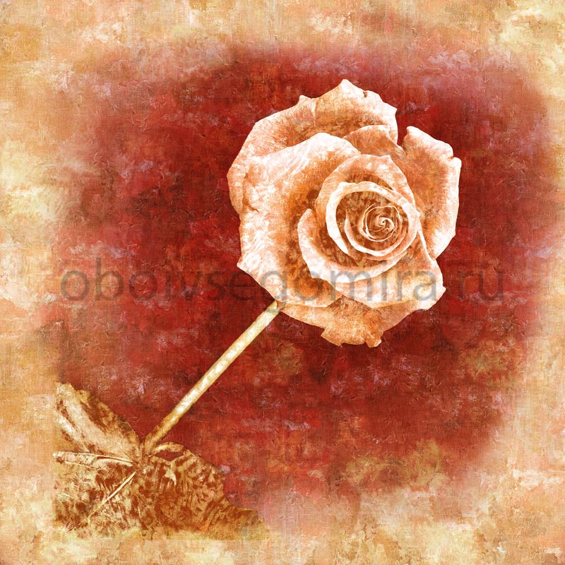 Фрески Цветы Розы 7048