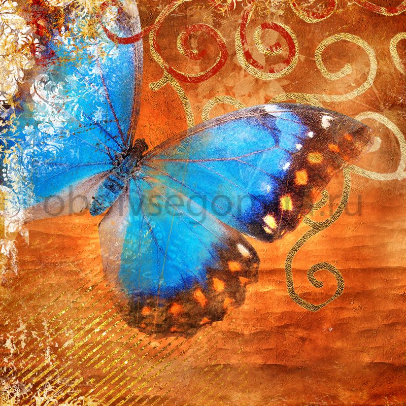 Фрески Цветы Бабочки ID10148