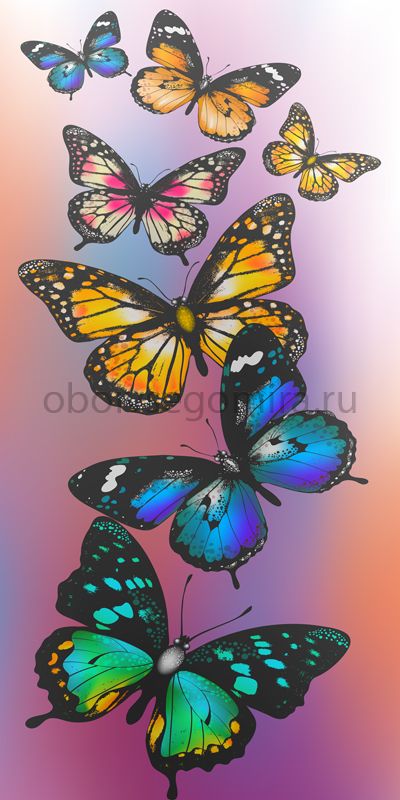Фрески Цветы Бабочки 7192