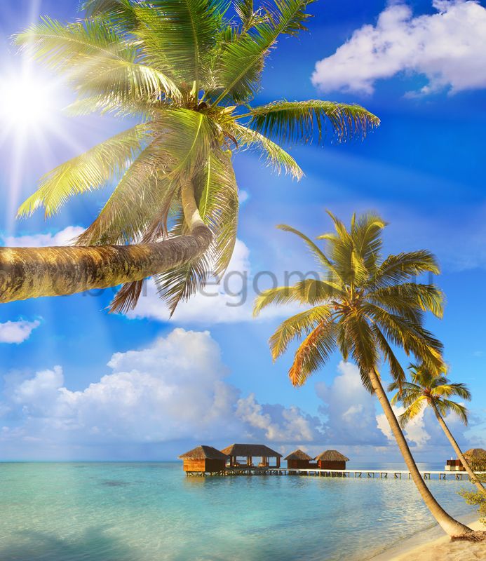 Фрески Пейзажи Пляжи и пальмы ID11210