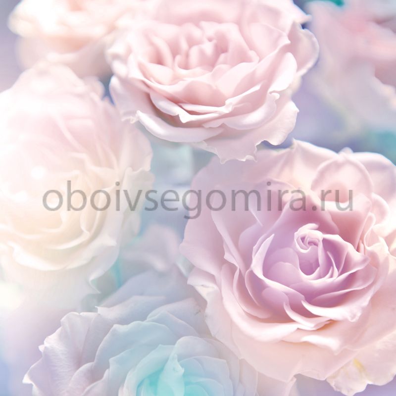 Фрески Цветы Розы ID12798