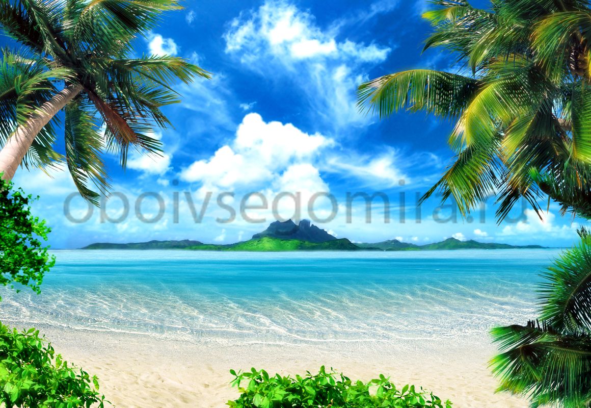 Фрески Пейзажи Пляжи и пальмы 6137