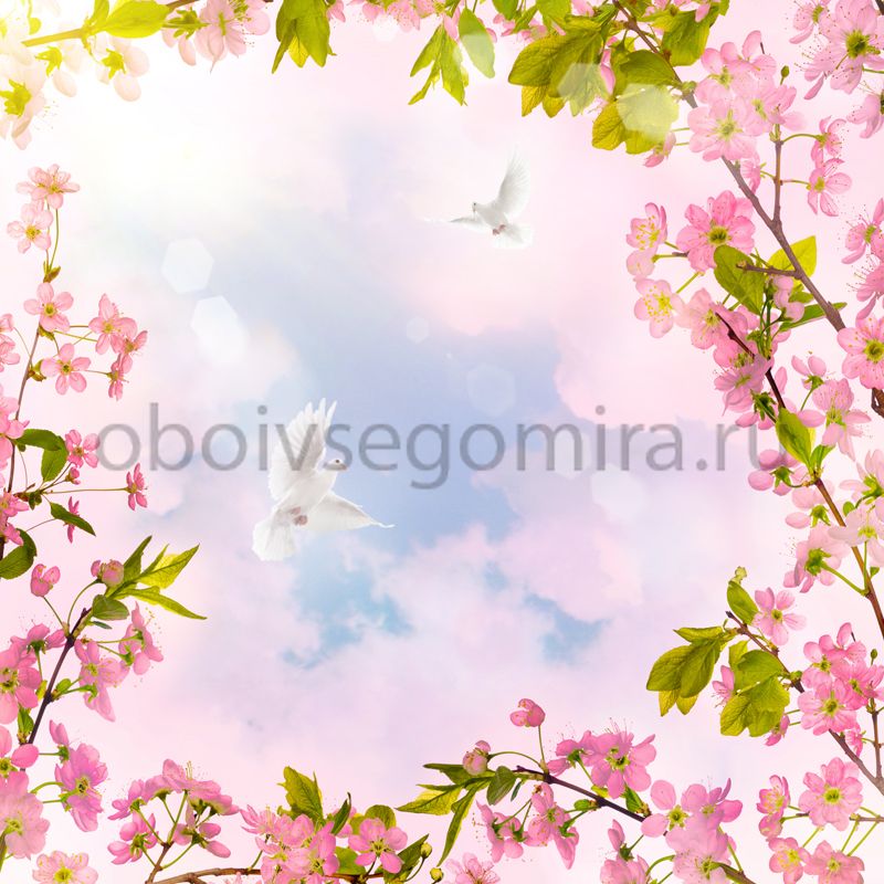 Фрески Цветы Сакура ID11821