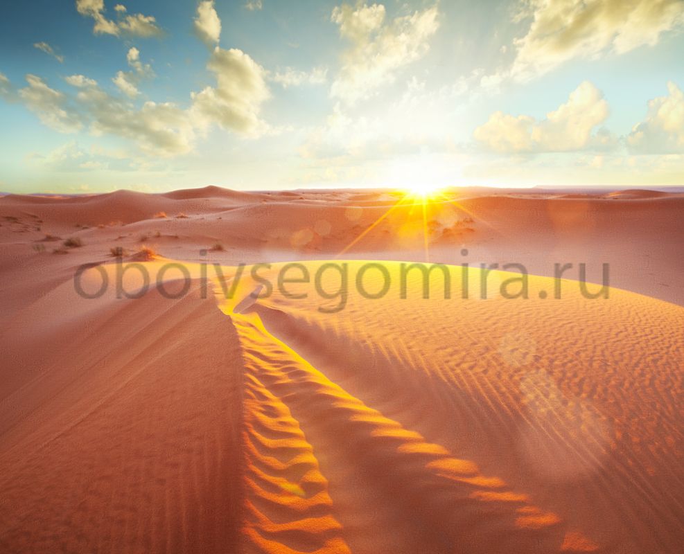 Фрески Пейзажи Пустыня ID10475