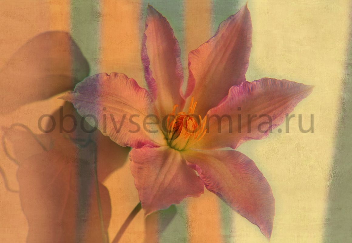 Фрески Цветы Разные цветы ID135583