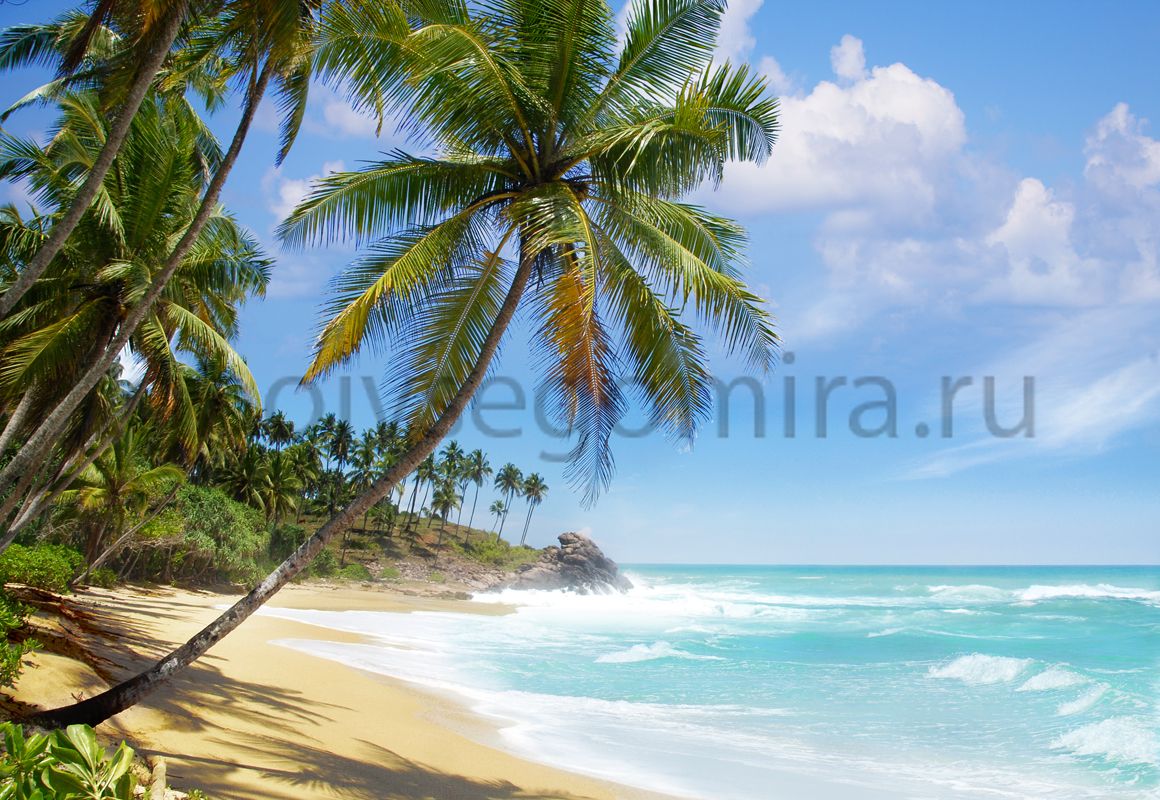 Фрески Пейзажи Пляжи и пальмы ID11109