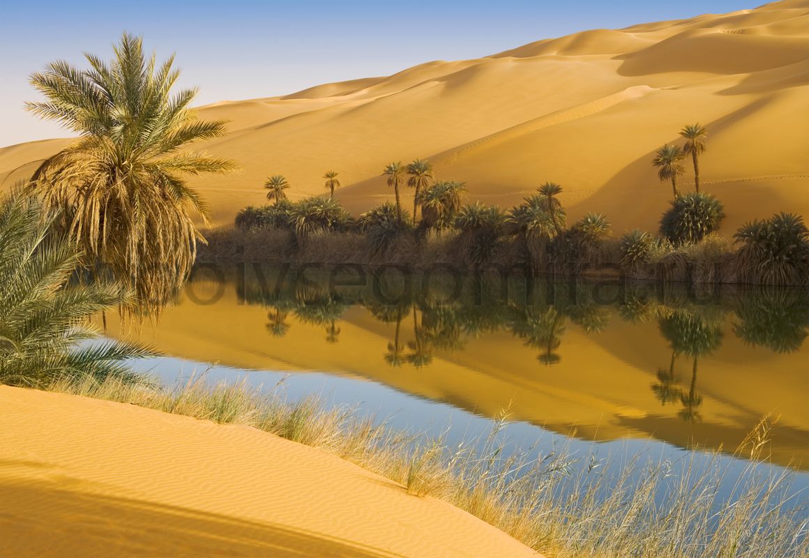 Фрески Пейзажи Пустыня ID13550