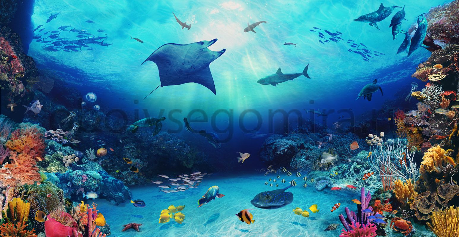 Фрески Пейзажи Подводный мир 6393