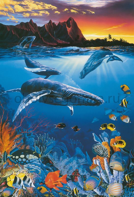 Фрески Пейзажи Подводный мир 5105