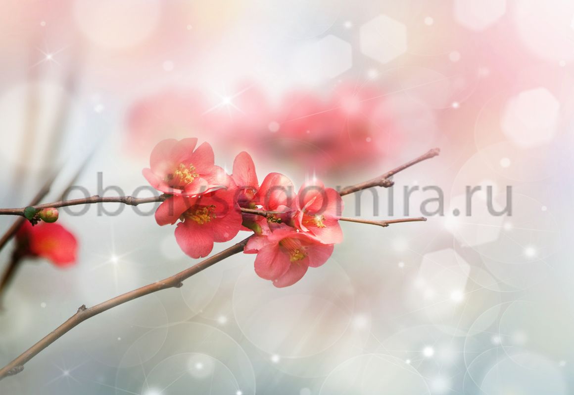 Фрески Цветы Сакура ID11824