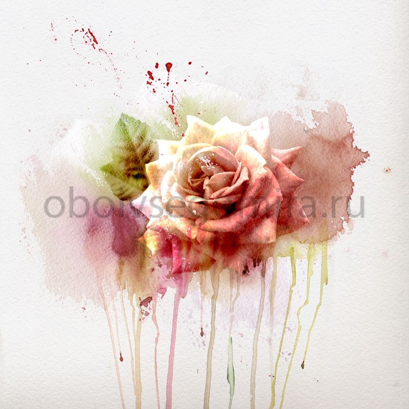 Фрески Цветы Розы ID12801